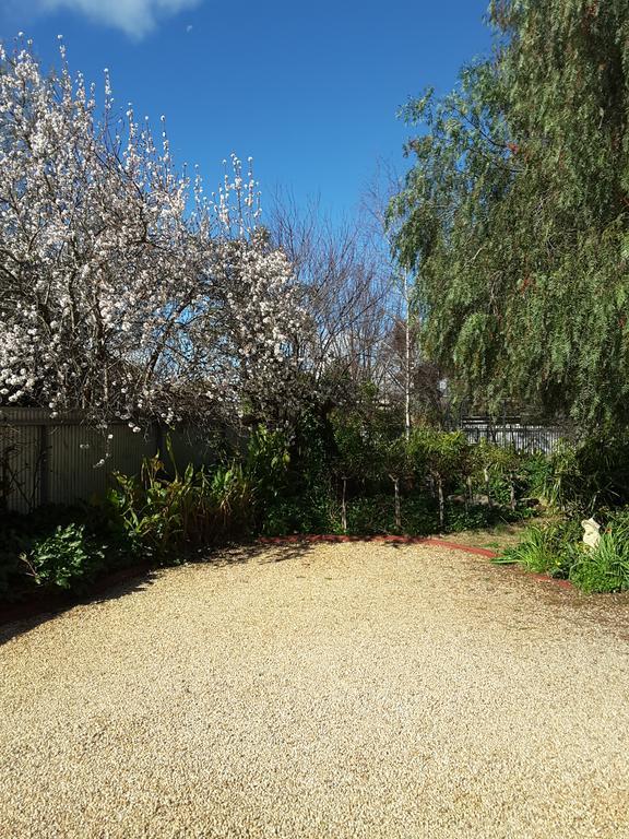 Bed and Breakfast The Dove Cote à Tanunda Extérieur photo